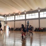 IMG_5052
